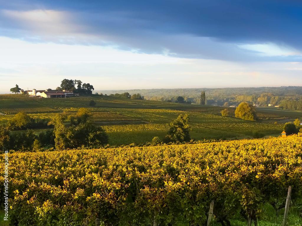 La Sauternaise, Luxury Boutique B&B 索泰尔纳 外观 照片